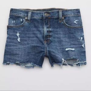 Aerie Distressed Daydream Denim Shorts Raw Hem Cutoffs XL